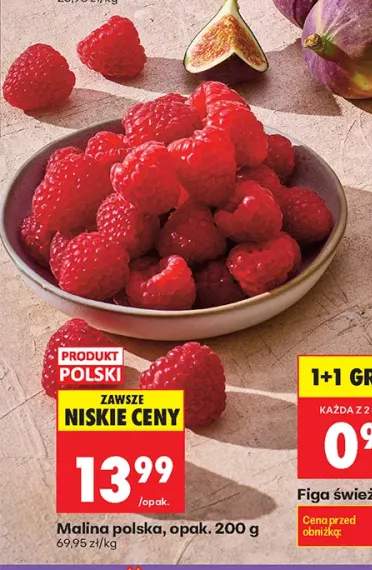 Maliny polskie