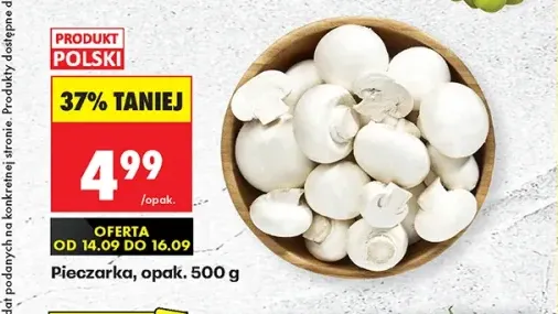 Pieczarki