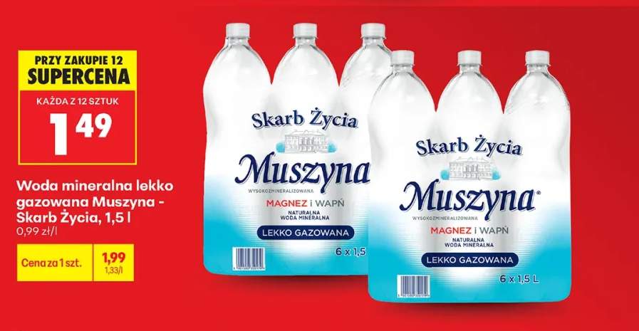 Woda mineralna lekko gazowana Muszyna - Skarb Życia