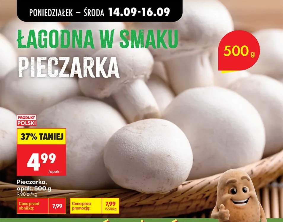 Pieczarka