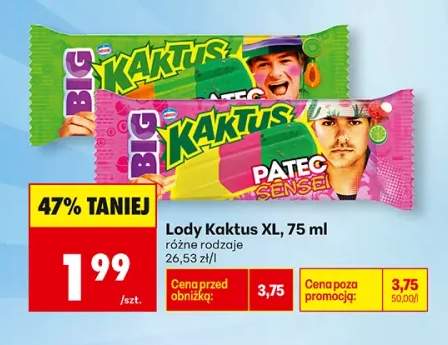 Lody Kaktus XL