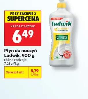 Płyn do naczyń Ludwik