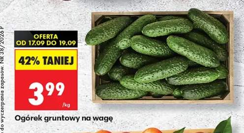 Ogórki gruntowe