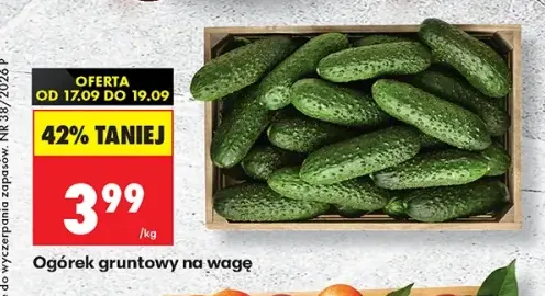 Ogórki gruntowe