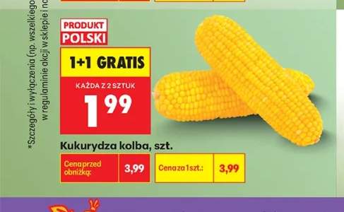 Kukurydza kolba