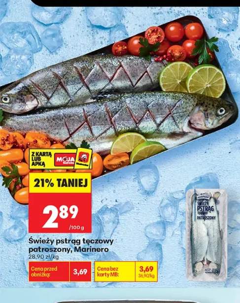 Świeży pstrąg tęczowy patroszony Marinero