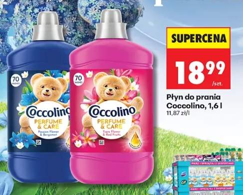 Płyn do prania Coccolino Passion Flower & Bergamot +1 wariant