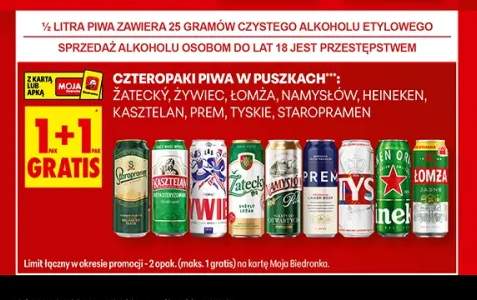 Piwo Żywiec 4-pak +8 wariantów