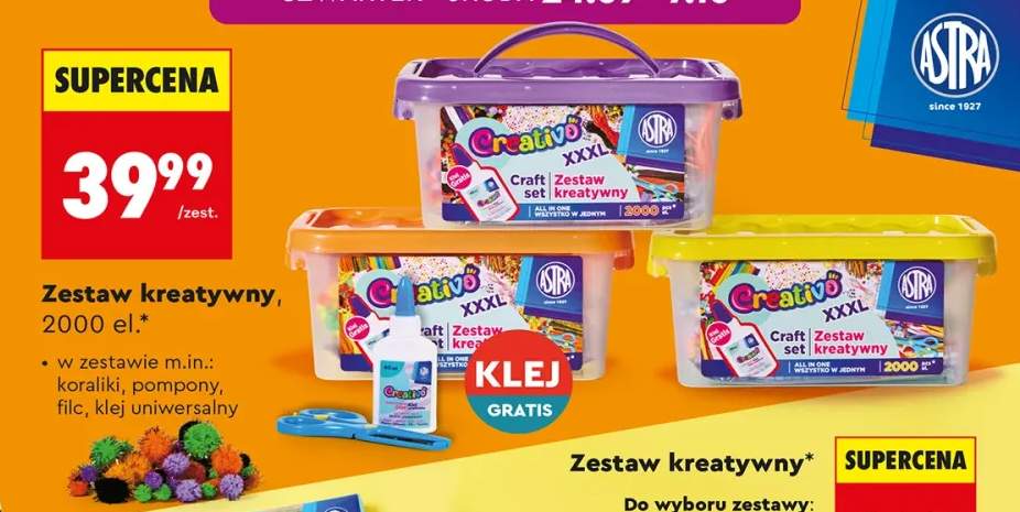 Zestaw kreatywny 2000 el. Creativo Astra