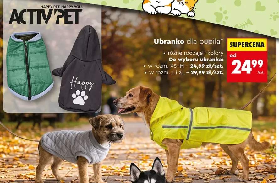 ubranko dla psa