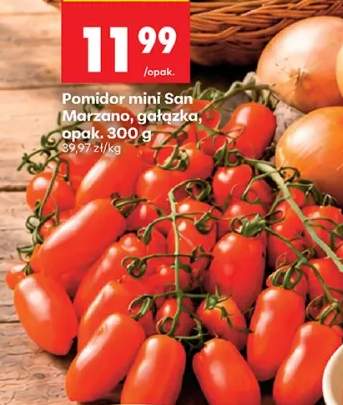 Pomidory mini San Marzano gałązka