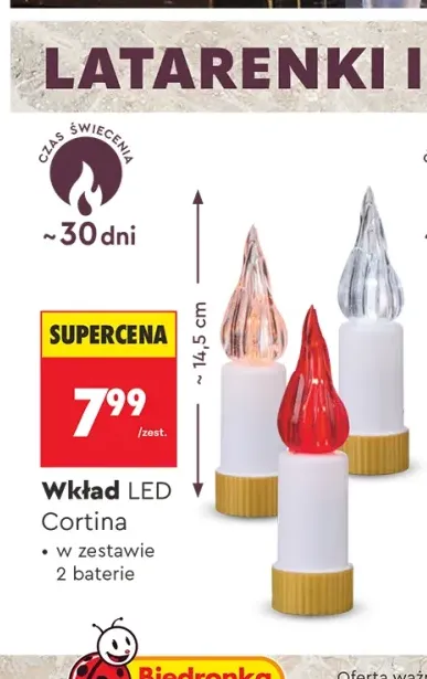 Wkład LED Cortina