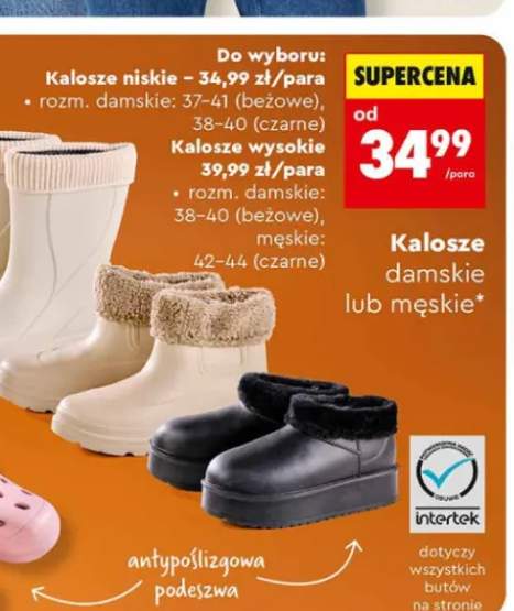 Kalosze niskie +1 wariant