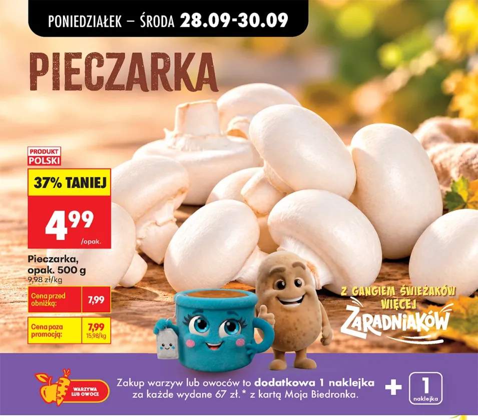 Pieczarka