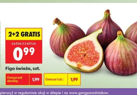 Figa świeża