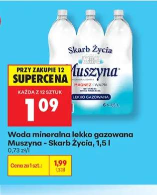 Woda mineralna lekko gazowana Muszyna Skarb Życia