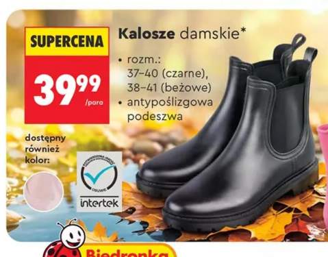 Kalosze damskie