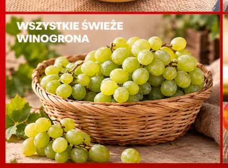 Świeże winogrona