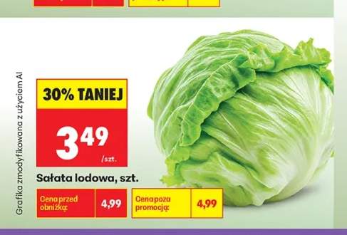 Sałata lodowa
