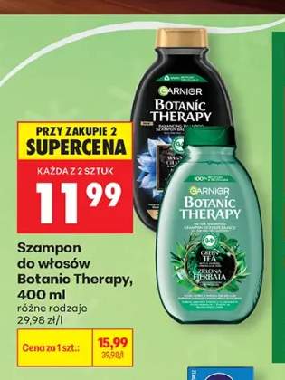Szampon do włosów Botanic Therapy Garnier