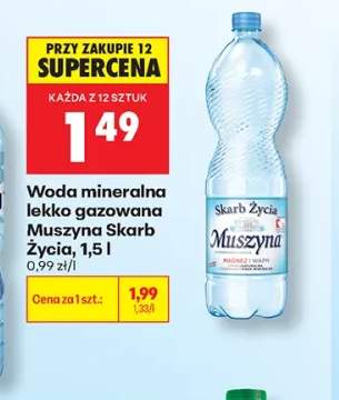 Woda mineralna lekko gazowana Muszyna Skarb Życia