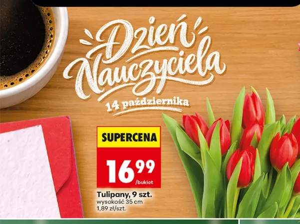 Tulipany 9 szt.