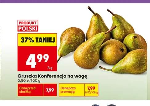 Gruszki Konferencja