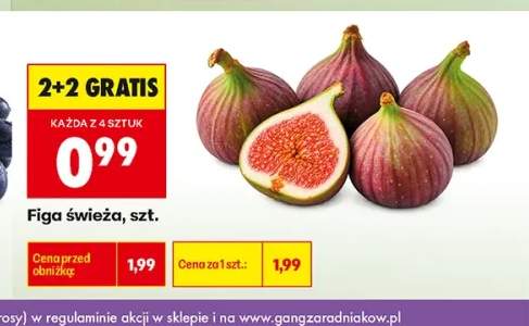 Figa świeża