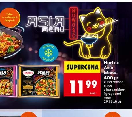 Hortex Asia Menu zupa ramen +1 wariant