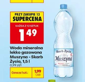 Woda mineralna lekko gazowana Muszyna - Skarb Życia