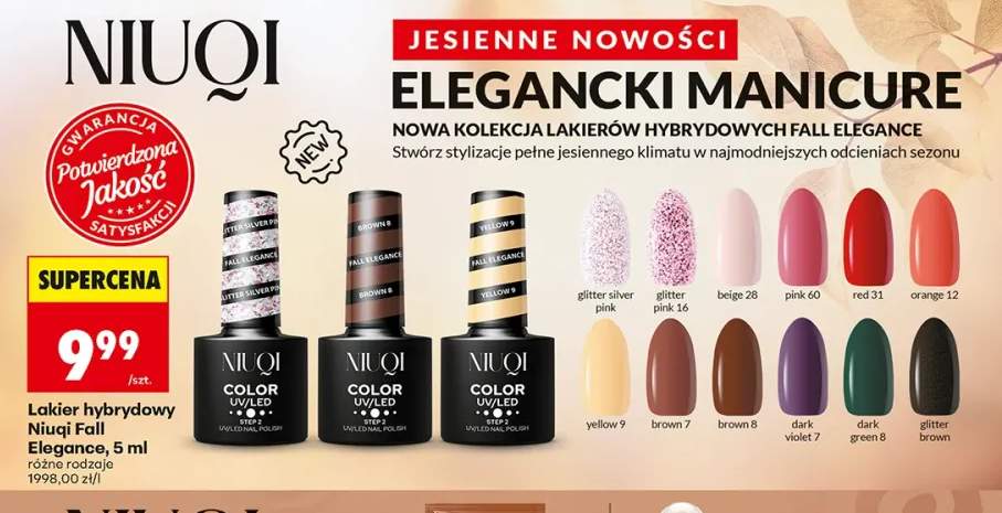 Lakier hybrydowy Niuqi Fall Elegance