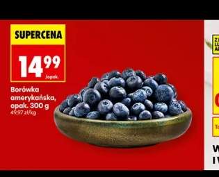 Borówki amerykańskie