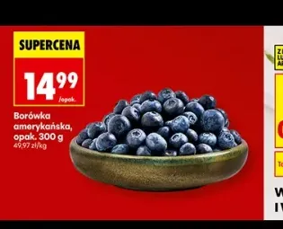 Borówki amerykańskie