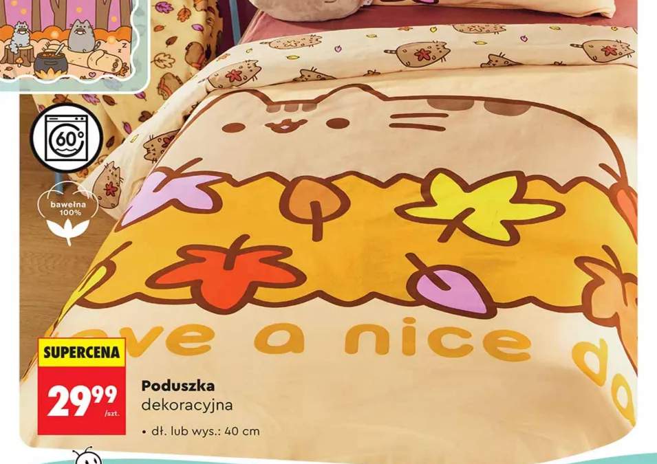 Poduszka dekoracyjna 40 cm Pusheen