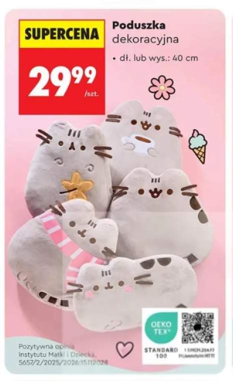 Poduszka dekoracyjna 40 cm Pusheen