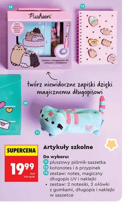 Pluszowy piórnik-saszetka Pusheen +3 warianty