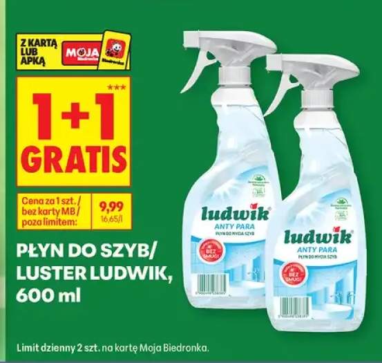 Płyn do szyb i luster Ludwik Anty Para