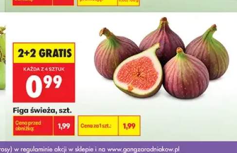Figa świeża