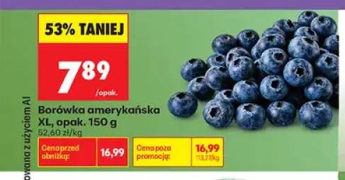 Borówka amerykańska XL