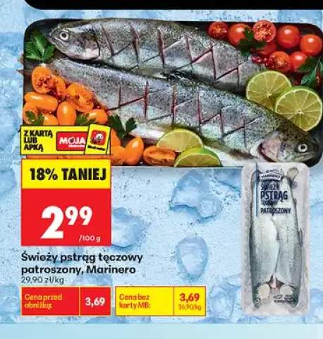 Świeży pstrąg tęczowy patroszony Marinero