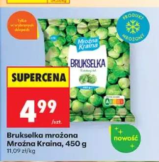Brukselka mrożona Mroźna Kraina