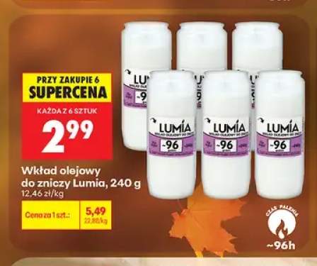 Wkład olejowy do zniczy Lumia