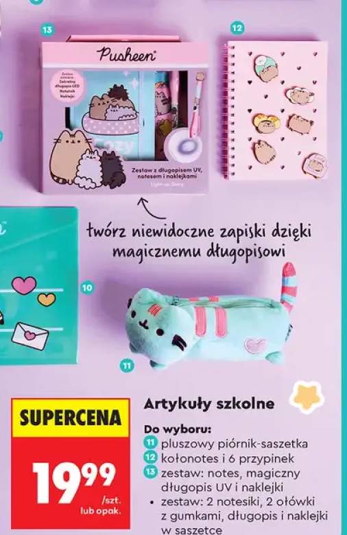 Pluszowy piórnik-saszetka Pusheen +3 warianty