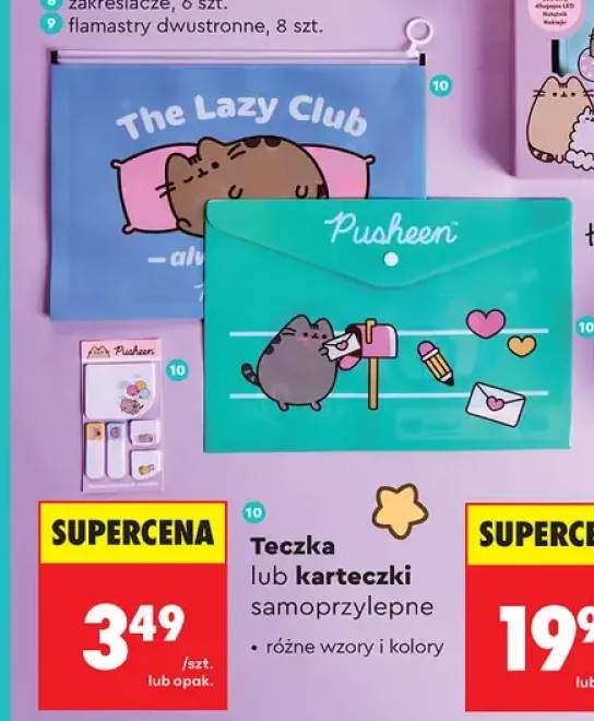 Teczka Pusheen +1 wariant