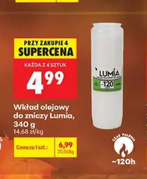Wkład olejowy do zniczy Lumia
