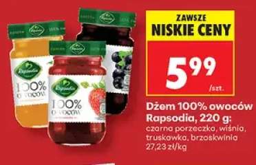 Dżem owoców Rapsodia czarna porzeczka 100% +3 warianty