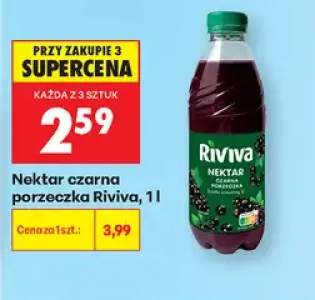 Nektar czarna porzeczka Riviva