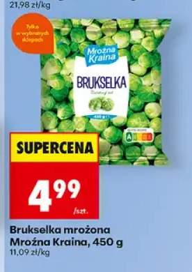 Brukselka mrożona Mroźna Kraina