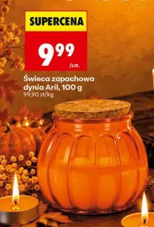 Świeca zapachowa dynia Aril