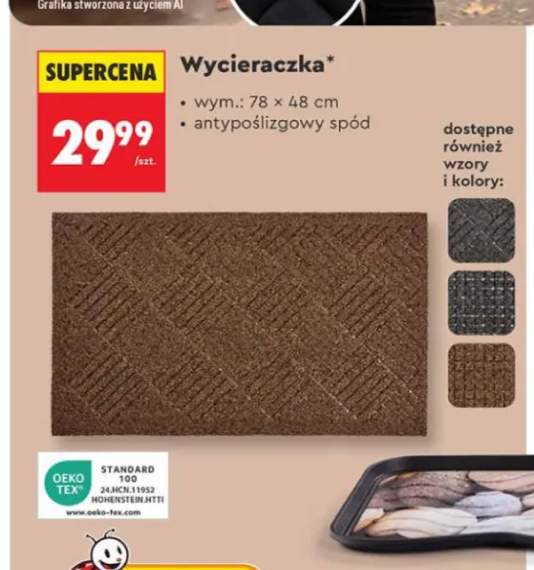 Wycieraczka 78x48 cm